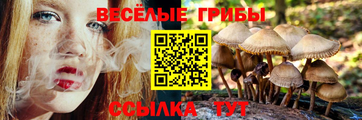 Галлюциногенные грибы Magic Shrooms  Вход с VPN  Владивосток 