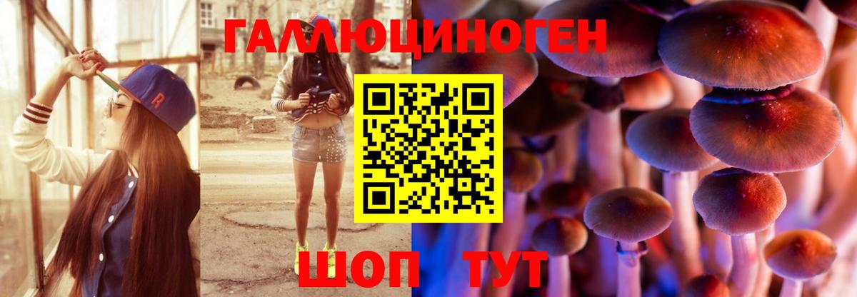 Галлюциногенные грибы мицелий Владивосток
